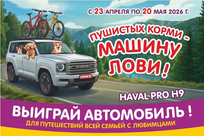 Пушистых корми - Машину в Мария-Ра лови! 