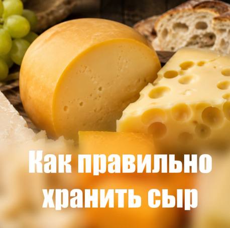 Как правильно хранить сыр: советы от Мария-Ра