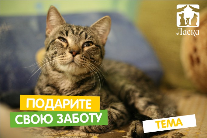 Помогать с Мария-Ра просто: акция «Подари свою заботу»