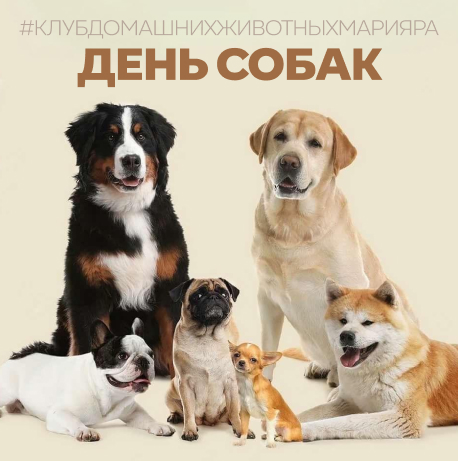 Они рядом, даже когда молчат: 10 фактов ко Дню собак