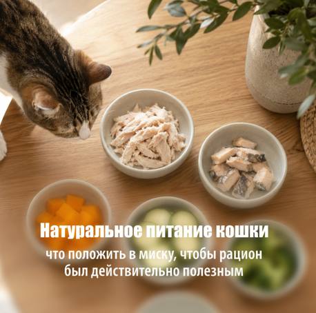 Натуральное питание кошки
