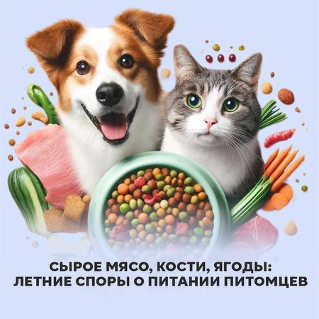 Сырое мясо, кости, ягоды: чем на самом деле можно кормить питомцев летом