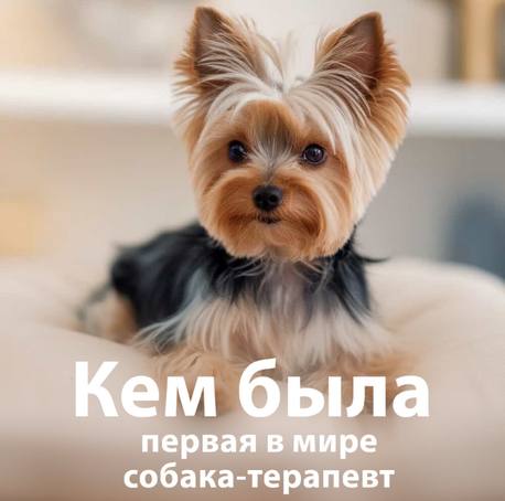 Кем была первая в мире собака-терапевт: её порода вас удивит